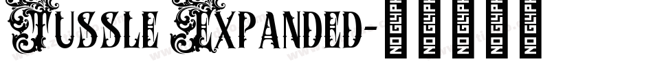 Tussle Expanded字体转换